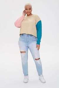TAN/PINK Plus Size Colorblock Pullover, image 4