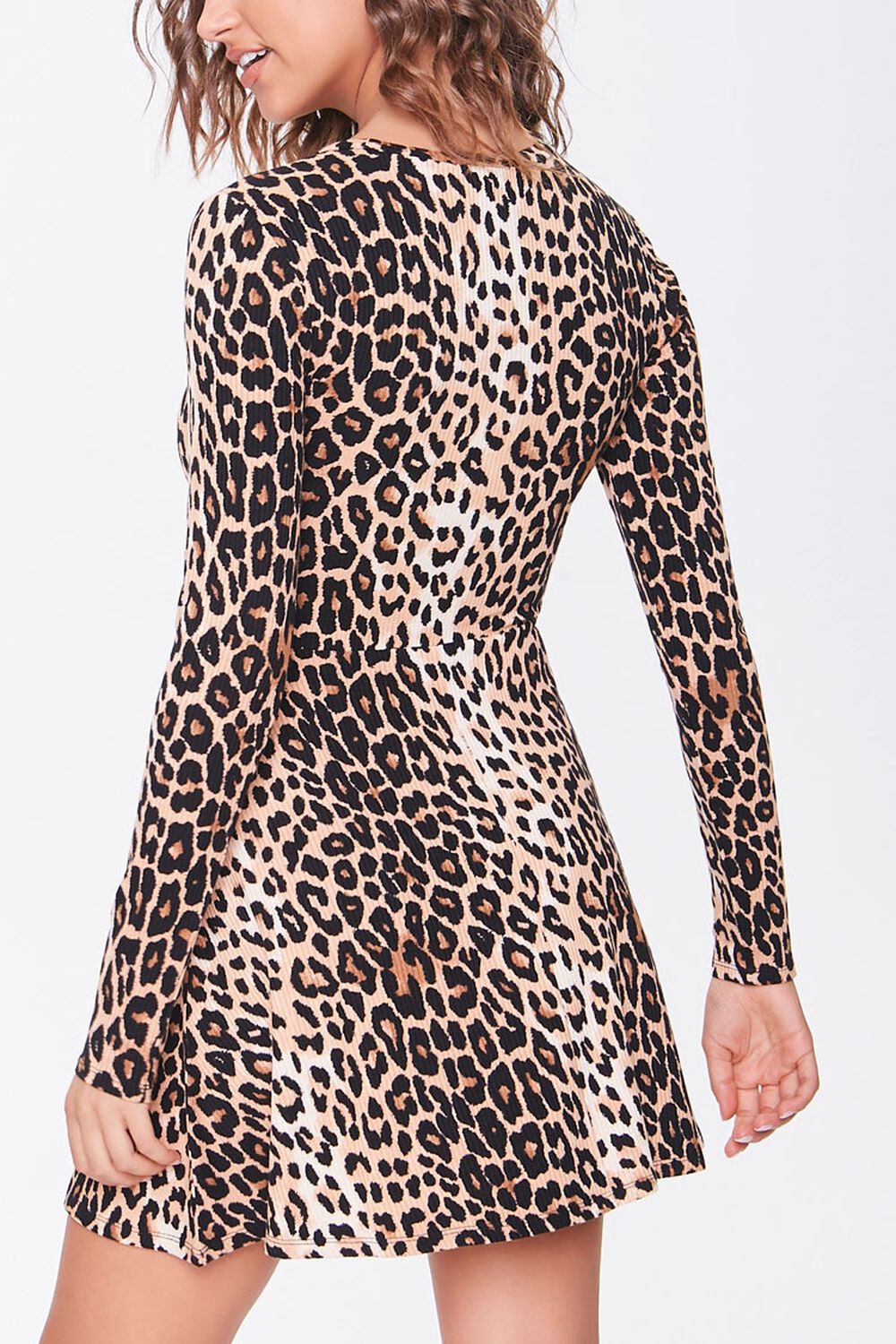Leopard Print Skater Dress, image 3